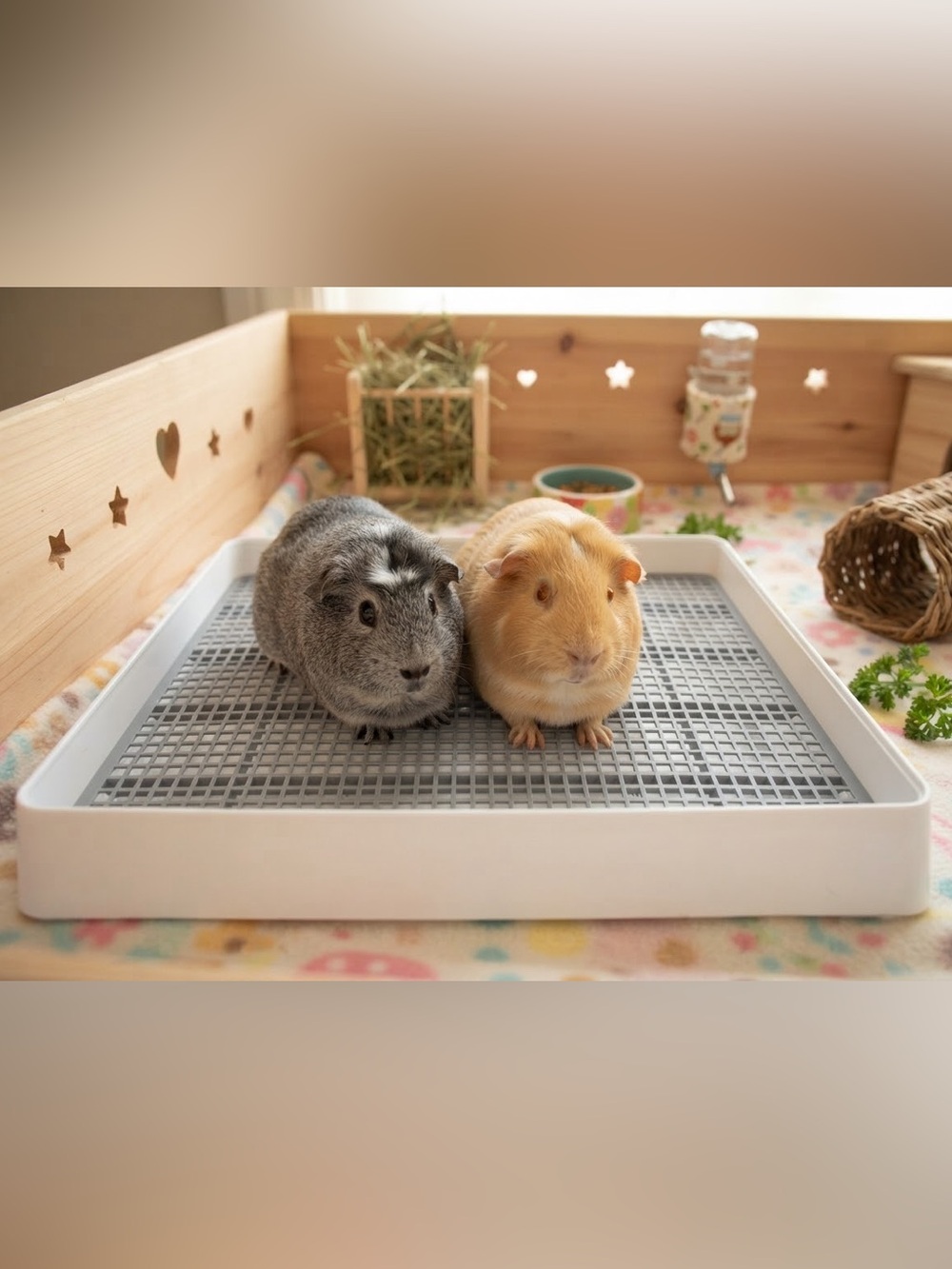 Guinea Pig Rabbit Litter Pan for Cage Bed Pet Toilet Ferret corner Medium (2)